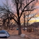 tent under a bare tree in Utah