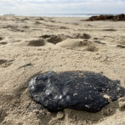 black oil tar sits on the sand in Newport Beach, CA